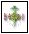 bondi.gif (1186 bytes)